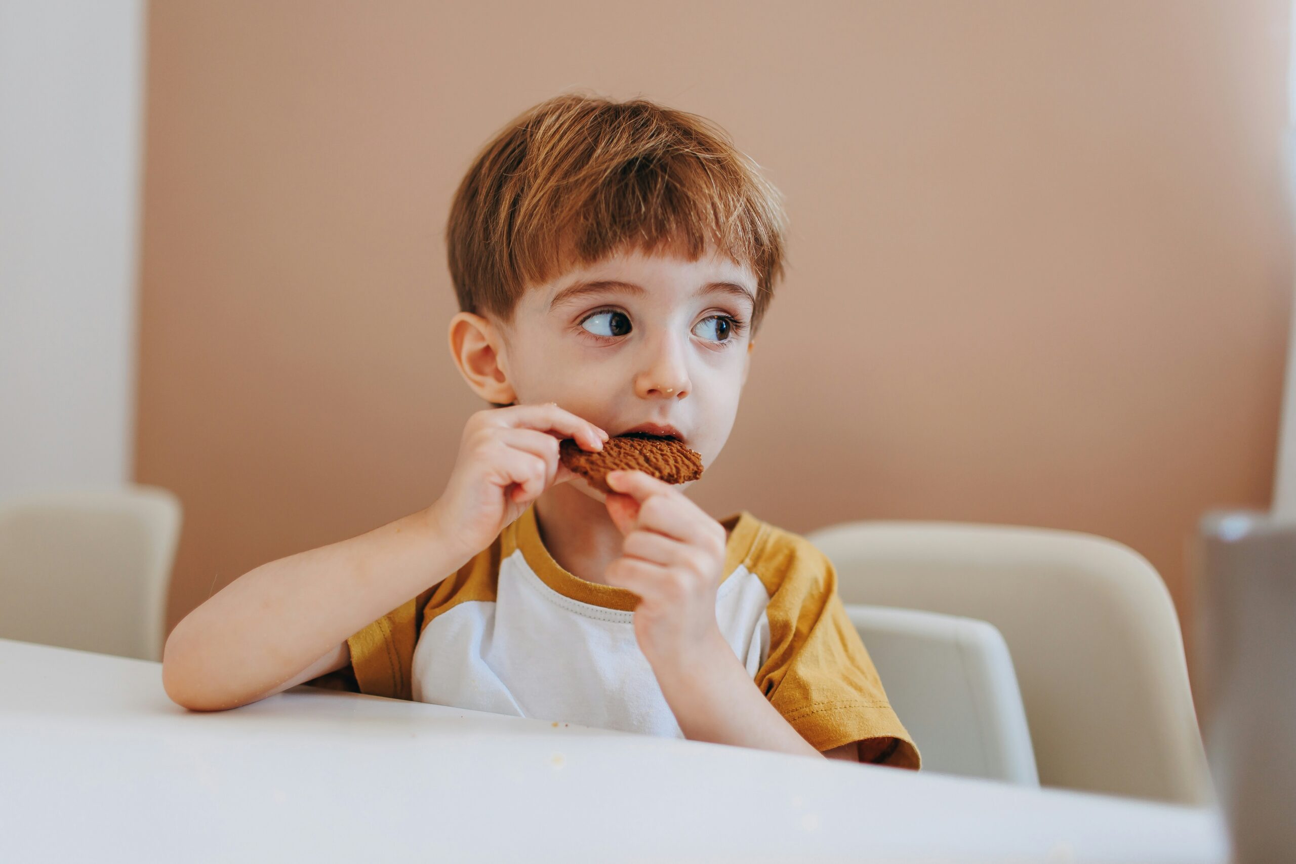 child eating a biscuit.