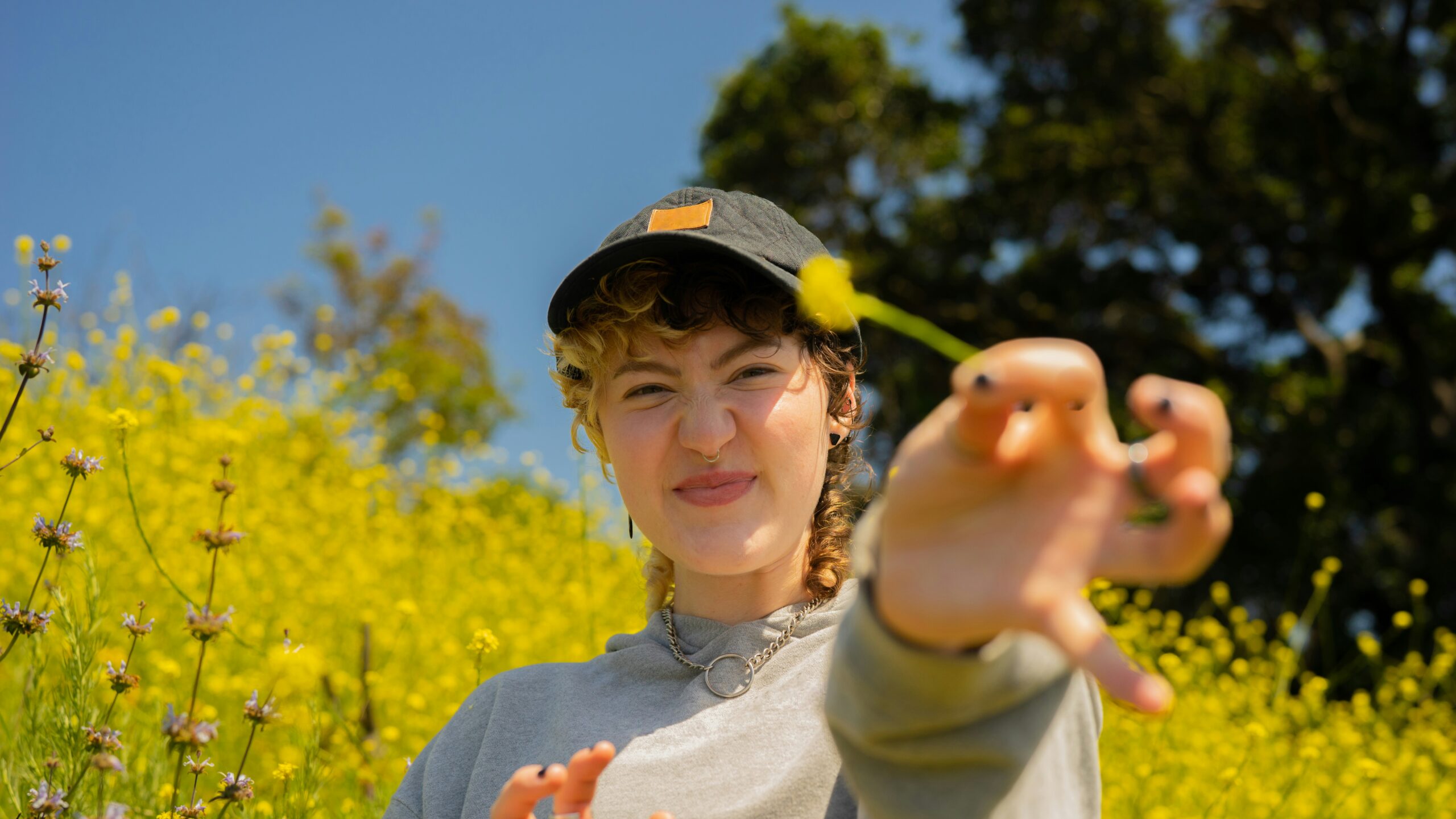 person holding a flower towards the camera