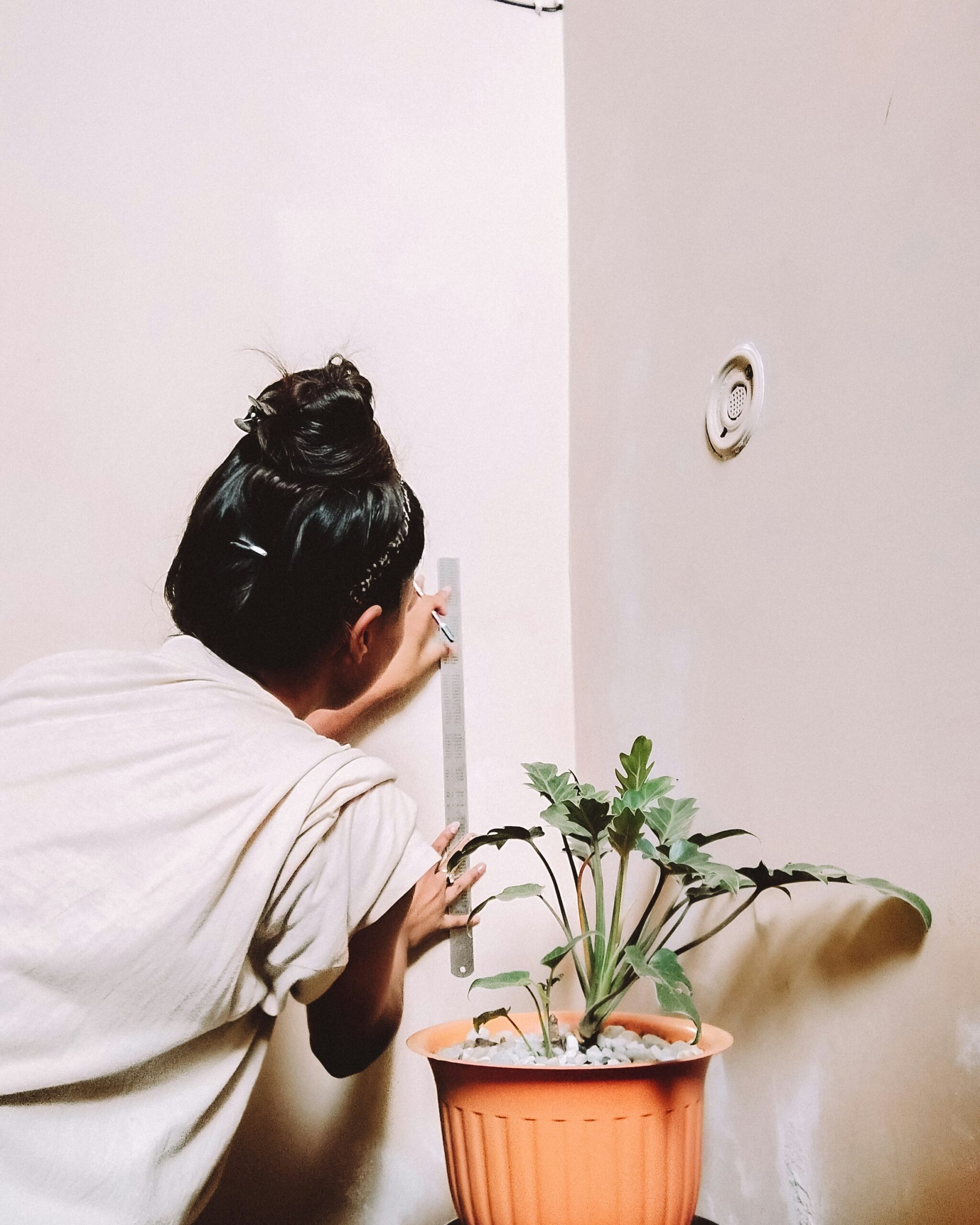 just capturing it sf06aallncm unsplash