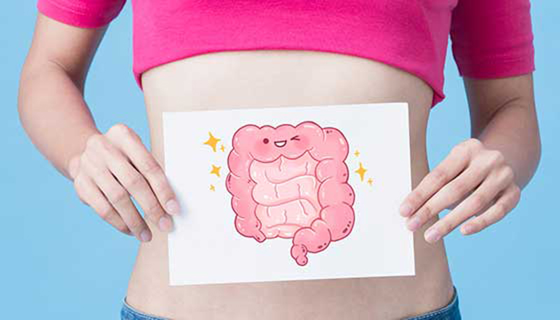 The power of fibre in regulating bowels